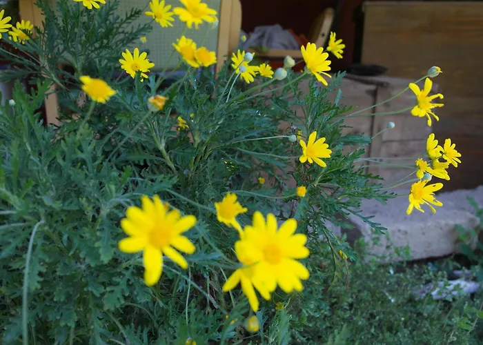 Agriturismo Il Cammino